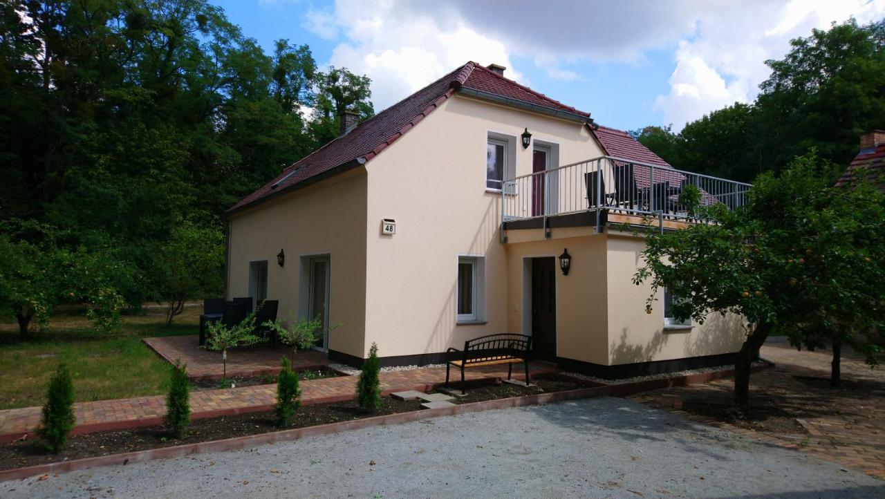 Haus Waldidyll Apartment Lauta ภายนอก รูปภาพ